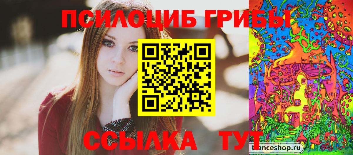 Галлюциногенные грибы ЛСД Новокубанск