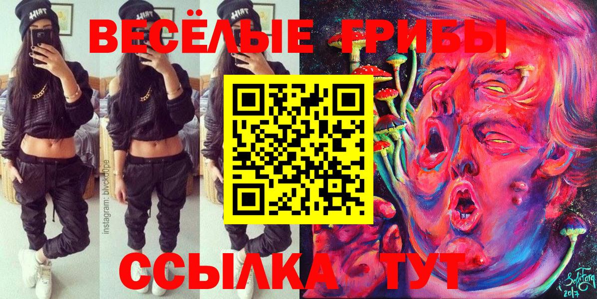 Галлюциногенные грибы ЛСД  Галлюциногенные грибы Psilocybe  Вход с VPN  Новокубанск 