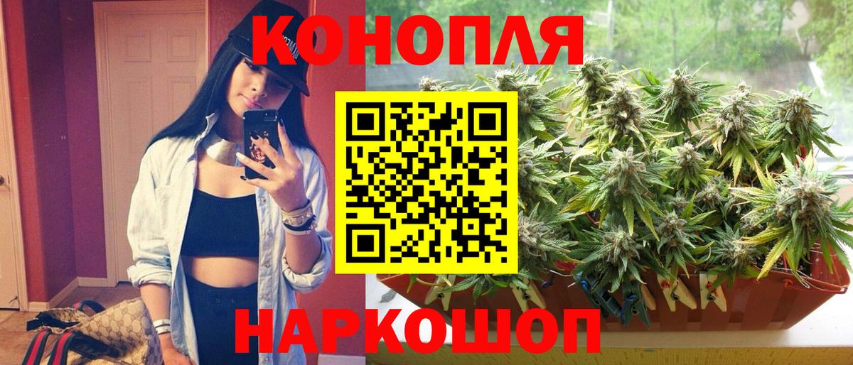 Шишки марихуана Amnesia Новокубанск